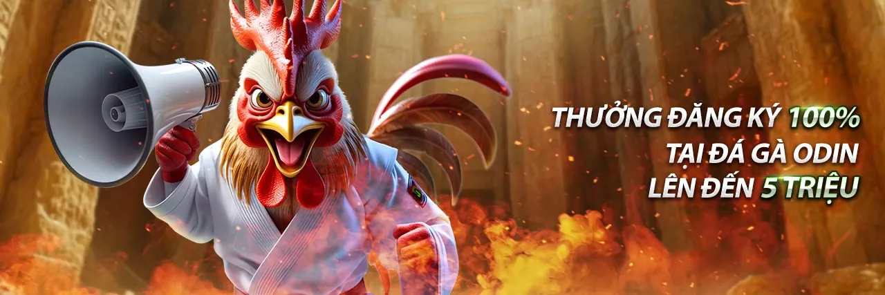 Gà chọi Việt Nam trong không gian văn hóa truyền thống