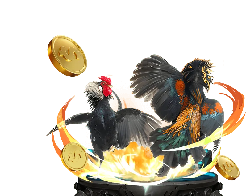 Bảo tồn và phát huy giá trị văn hóa đá gà