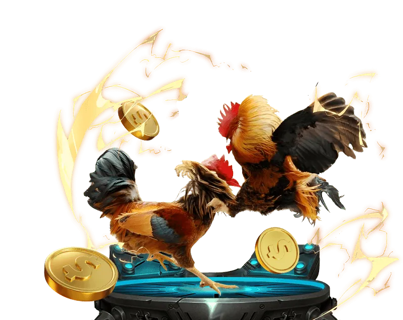 Bình luận viên đá gà chuyên nghiệp